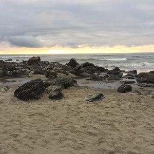 Meet your Posher, Beverly